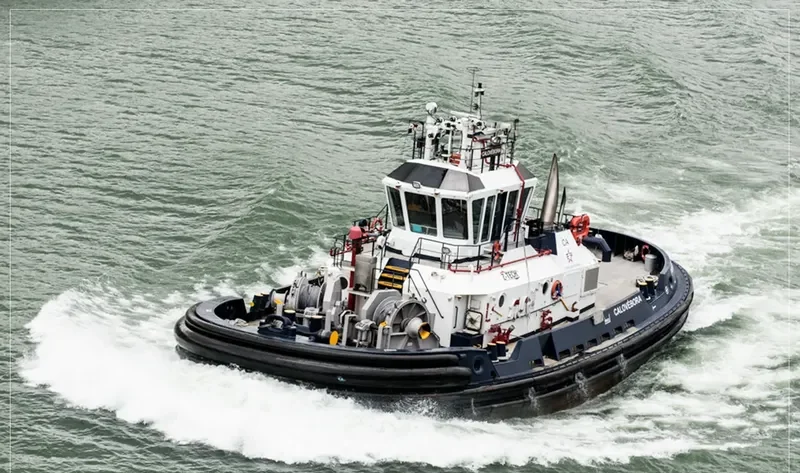 CALOVEBORA General Cargo IMO 9551533 photo 7