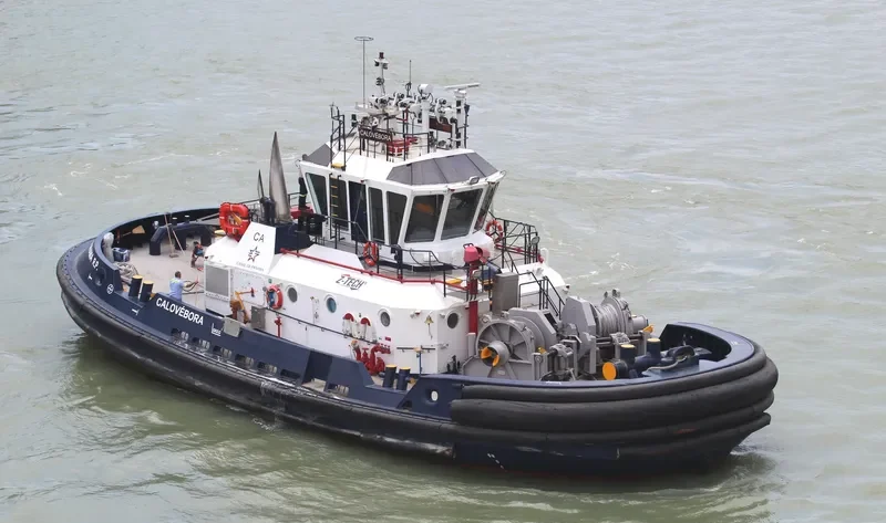CALOVEBORA General Cargo IMO 9551533 photo 9