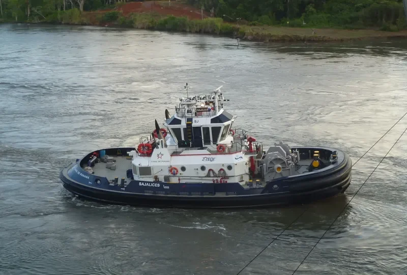 SAJALICES General Cargo IMO 9551571 photo 3