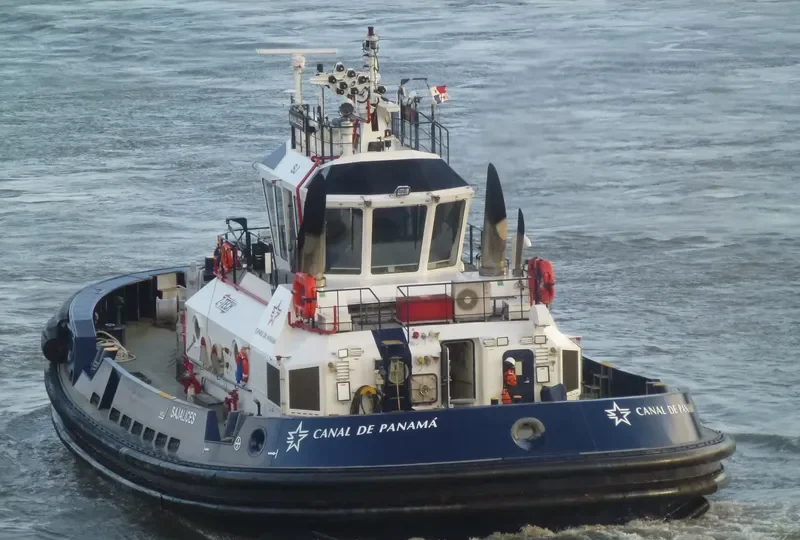 SAJALICES General Cargo IMO 9551571 photo 4