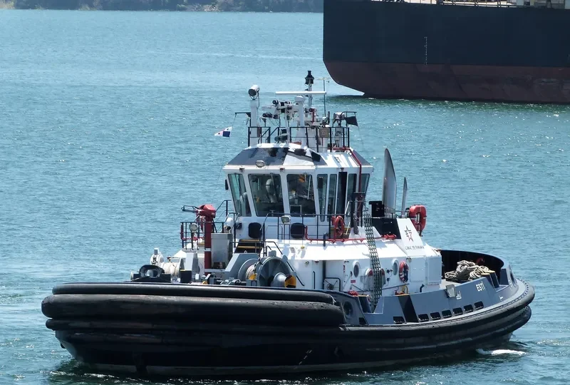 ESTI General Cargo IMO 9551612 photo 5