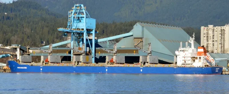 MAUD Bulk Carrier IMO 9551674 photo 4