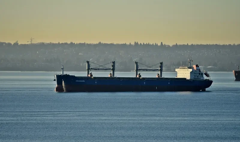 MAUD Bulk Carrier IMO 9551674 photo 5