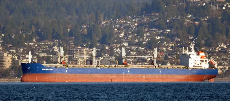 MAUD Bulk Carrier IMO 9551674 photo 8