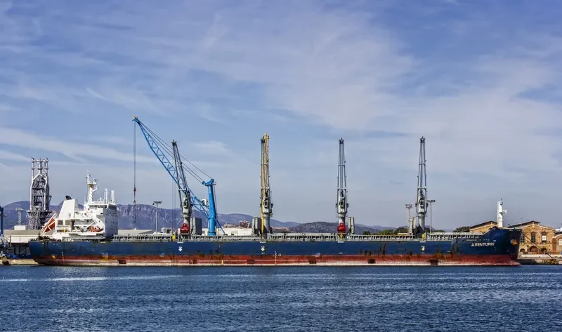EPIC TRADER Bulk Carrier IMO 9551698 photo 6