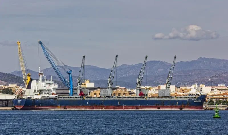 EPIC TRADER Bulk Carrier IMO 9551698 photo 7