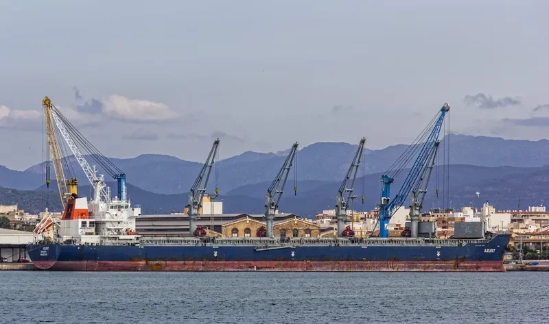 EASTERN AZALEA Bulk Carrier IMO 9551703 photo 2