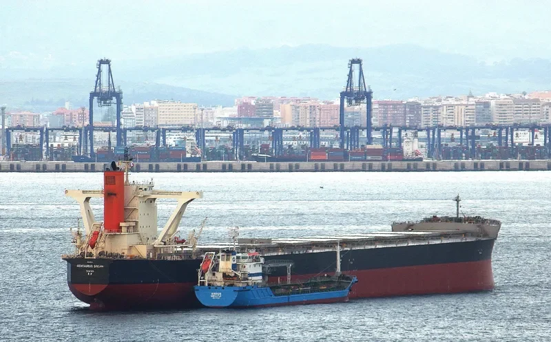 CENTAURUS DREAM Bulk Carrier IMO 9551715 photo 6