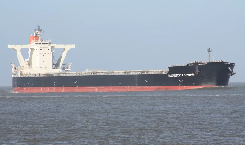 JAG ALAIA Bulk Carrier IMO 9551727 photo 2