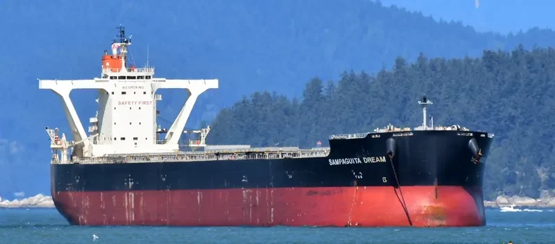 JAG ALAIA Bulk Carrier IMO 9551727 photo 5