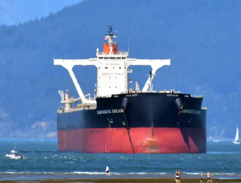 JAG ALAIA Bulk Carrier IMO 9551727 photo 6