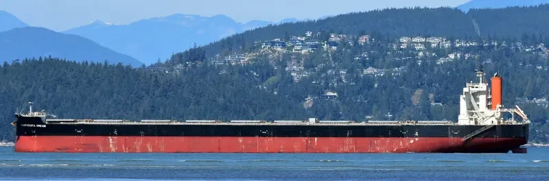 JAG ALAIA Bulk Carrier IMO 9551727 photo 8