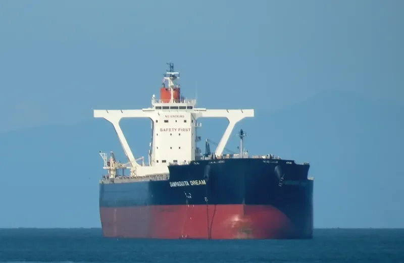 JAG ALAIA Bulk Carrier IMO 9551727 photo 10
