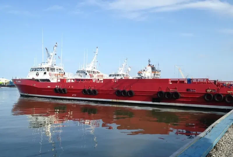 HARVEY RUNNER General Cargo IMO 9551985