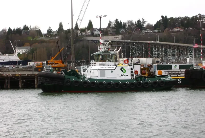 CAROLYN DOROTHY General Cargo IMO 9552288 photo 7