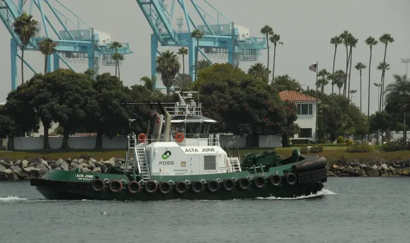 ALTA JUNE General Cargo IMO 9552290 photo 7