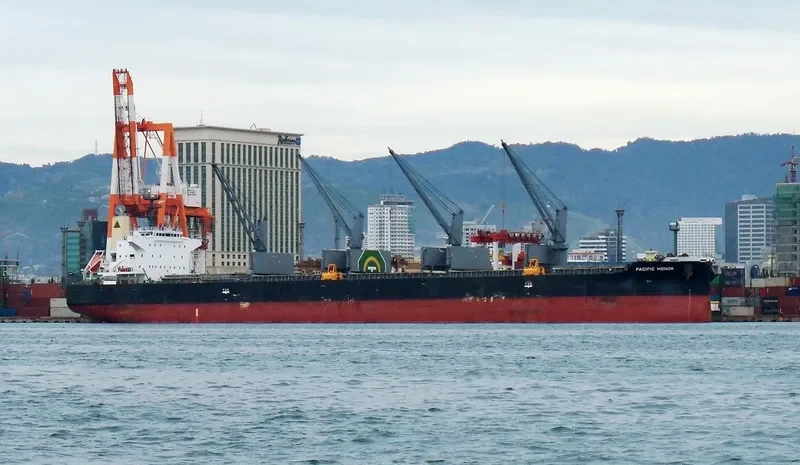 PACIFIC HONOR Bulk Carrier IMO 9552317 photo 2