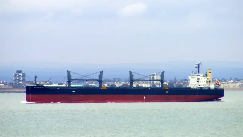 PACIFIC HONOR Bulk Carrier IMO 9552317 photo 4