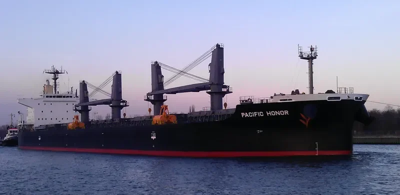 PACIFIC HONOR Bulk Carrier IMO 9552317 photo 8