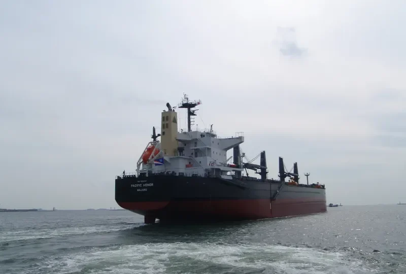 PACIFIC HONOR Bulk Carrier IMO 9552317 photo 9