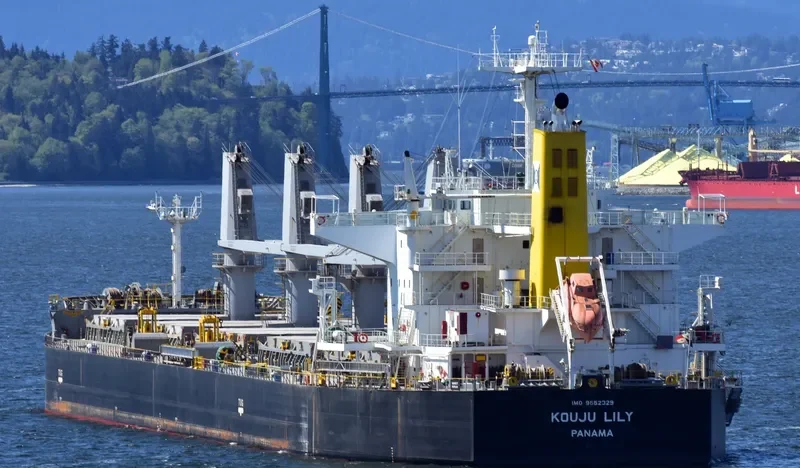 KOUJU LILY Bulk Carrier IMO 9552329