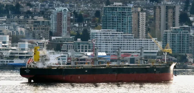 KOUJU LILY Bulk Carrier IMO 9552329 photo 3