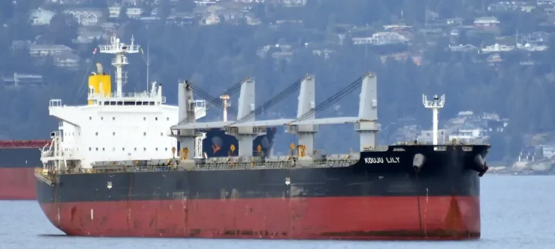 KOUJU LILY Bulk Carrier IMO 9552329 photo 5