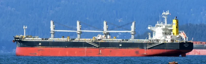 KOUJU LILY Bulk Carrier IMO 9552329 photo 6