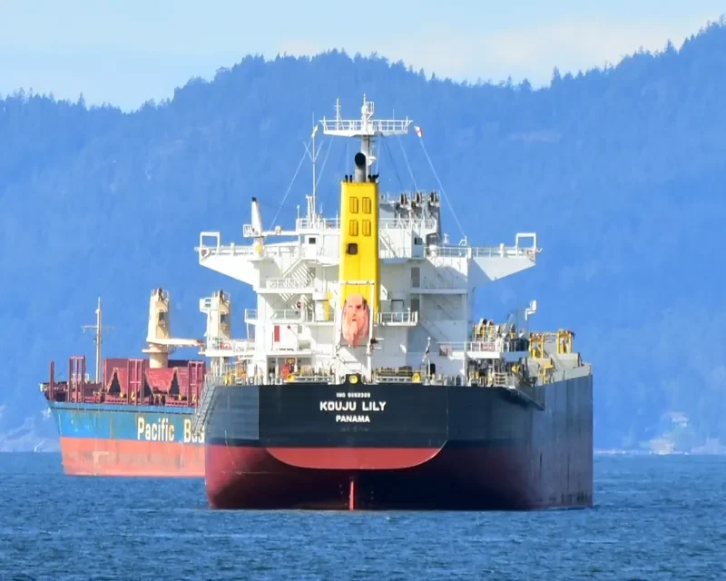KOUJU LILY Bulk Carrier IMO 9552329 photo 7