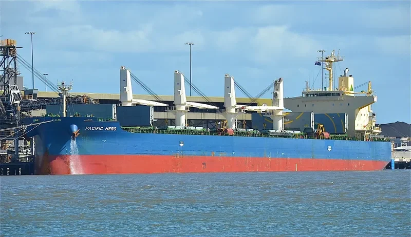 PACIFIC HERO Bulk Carrier IMO 9552331 photo 2