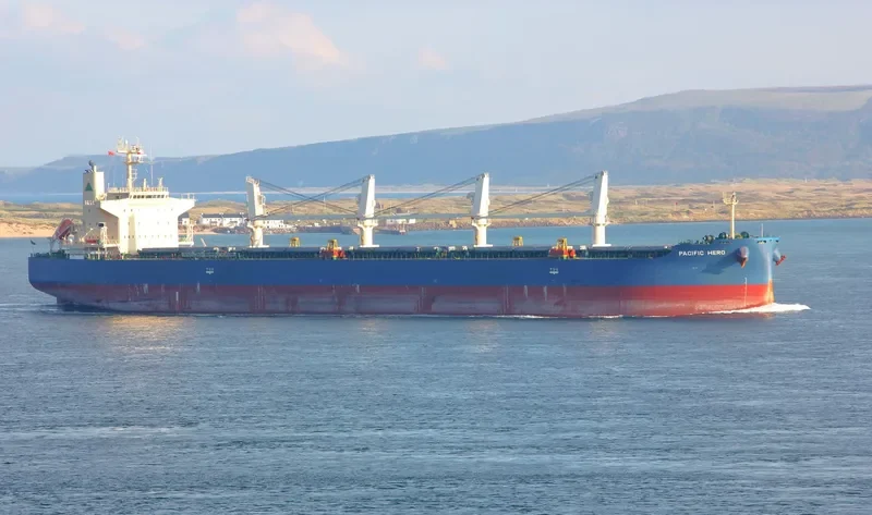 PACIFIC HERO Bulk Carrier IMO 9552331 photo 3