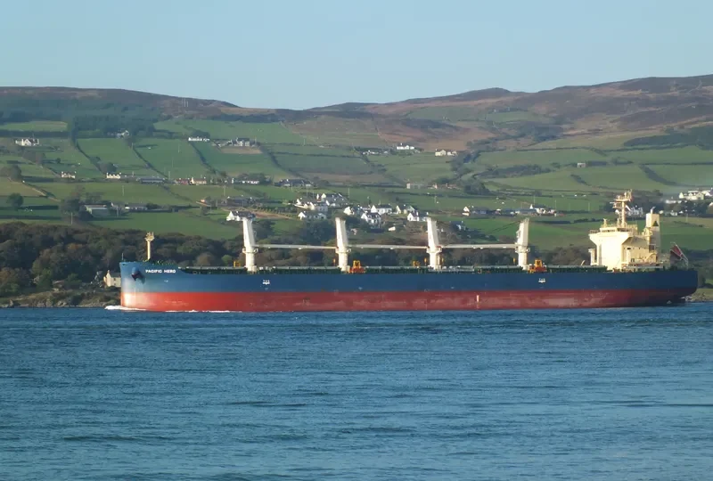PACIFIC HERO Bulk Carrier IMO 9552331 photo 4