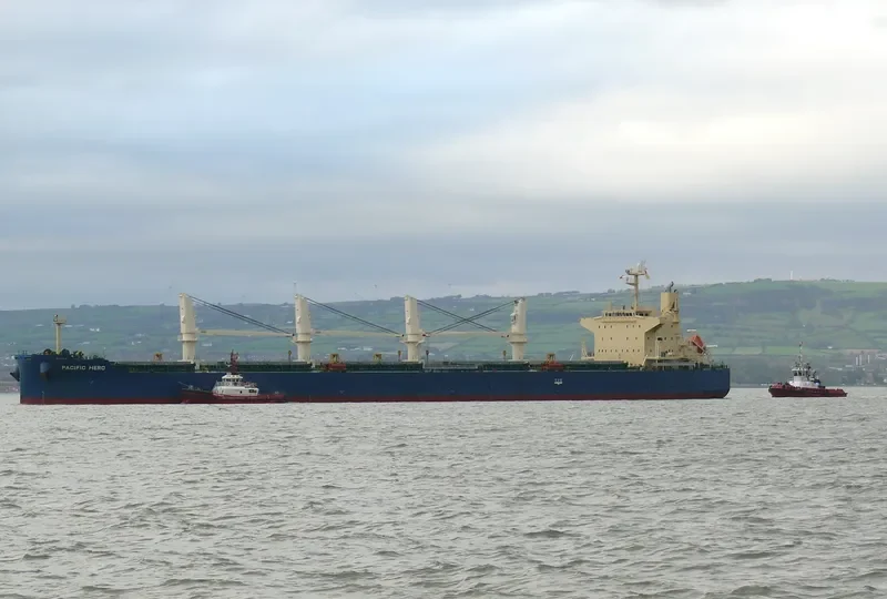 PACIFIC HERO Bulk Carrier IMO 9552331 photo 6
