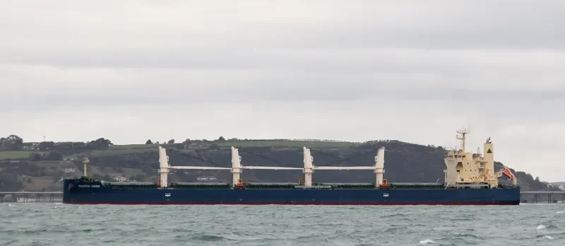 PACIFIC HERO Bulk Carrier IMO 9552331 photo 7