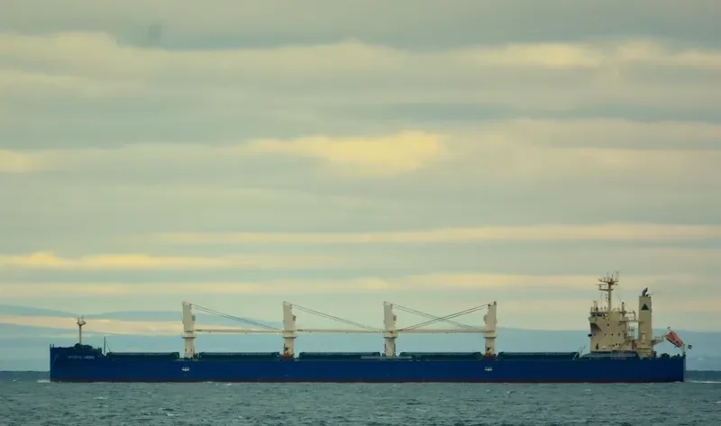 PACIFIC HERO Bulk Carrier IMO 9552331 photo 8