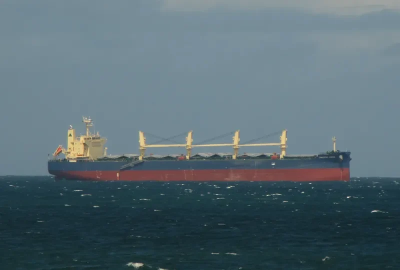 PACIFIC HERO Bulk Carrier IMO 9552331 photo 9