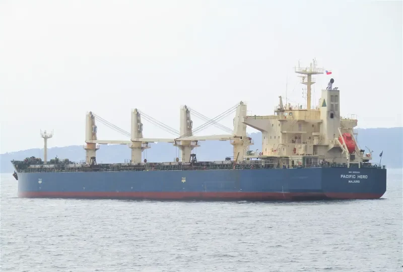 PACIFIC HERO Bulk Carrier IMO 9552331 photo 10