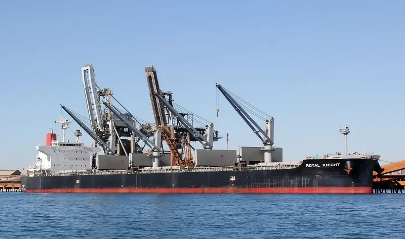 ROYAL KNIGHT Bulk Carrier IMO 9552355 photo 2