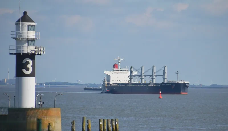 ROYAL KNIGHT Bulk Carrier IMO 9552355 photo 5