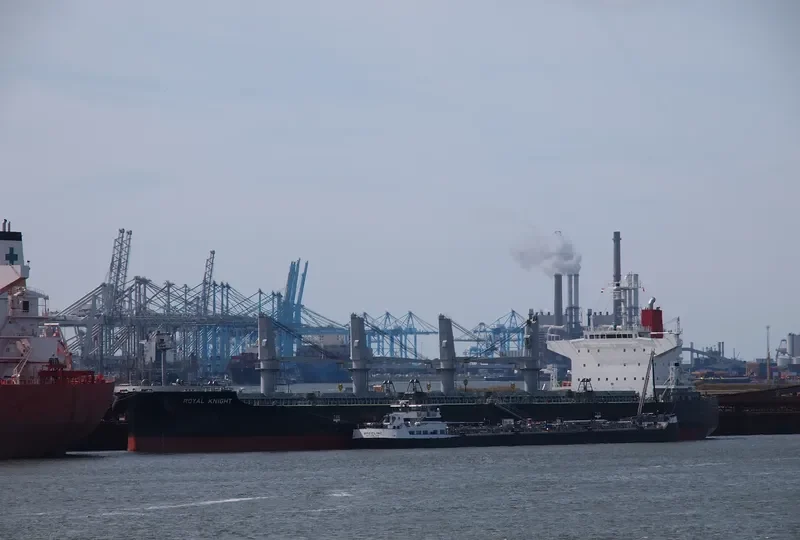 ROYAL KNIGHT Bulk Carrier IMO 9552355 photo 10