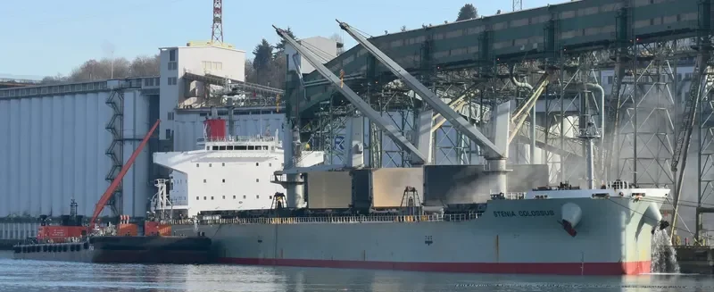 STENIA COLOSSUS Bulk Carrier IMO 9552379 photo 2