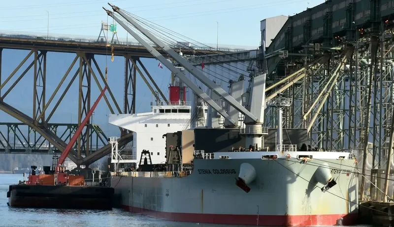STENIA COLOSSUS Bulk Carrier IMO 9552379 photo 3