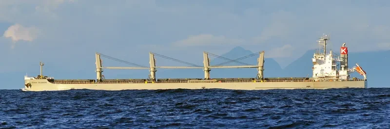 STENIA COLOSSUS Bulk Carrier IMO 9552379 photo 5