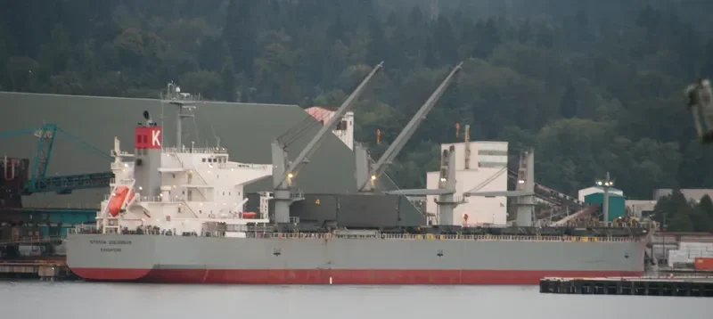 STENIA COLOSSUS Bulk Carrier IMO 9552379 photo 6