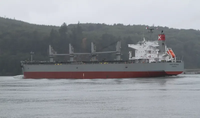 STENIA COLOSSUS Bulk Carrier IMO 9552379 photo 8