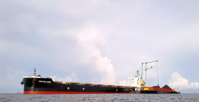 CAPE SWAN Bulk Carrier IMO 9552381