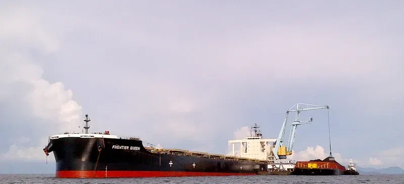 CAPE SWAN Bulk Carrier IMO 9552381 photo 2