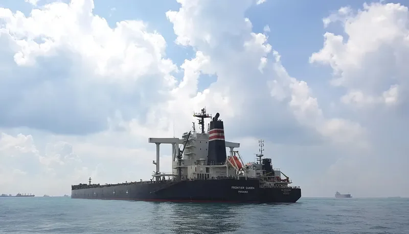 CAPE SWAN Bulk Carrier IMO 9552381 photo 5