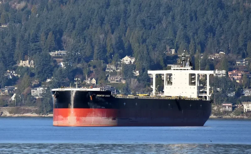 CAPE SWAN Bulk Carrier IMO 9552381 photo 6