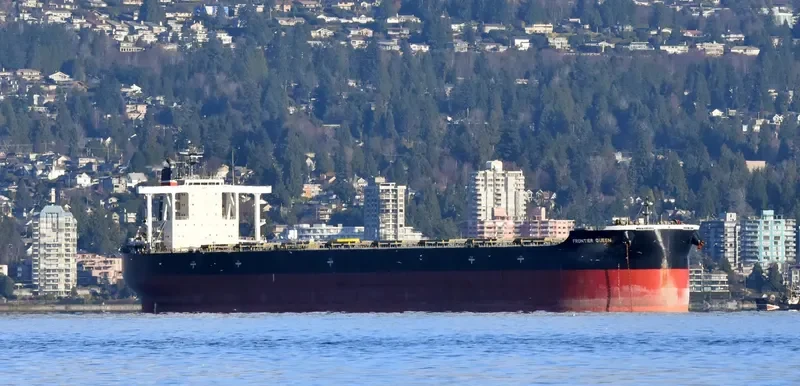 CAPE SWAN Bulk Carrier IMO 9552381 photo 7